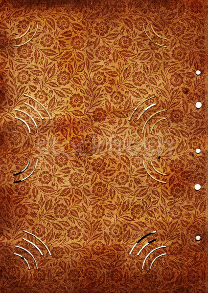 Grunge album oldal virág dizájnok textúra Stock fotó © lubavnel