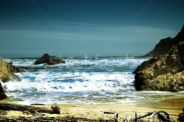 óceán hullámok drámai tengerpart víz absztrakt Stock fotó © lubavnel