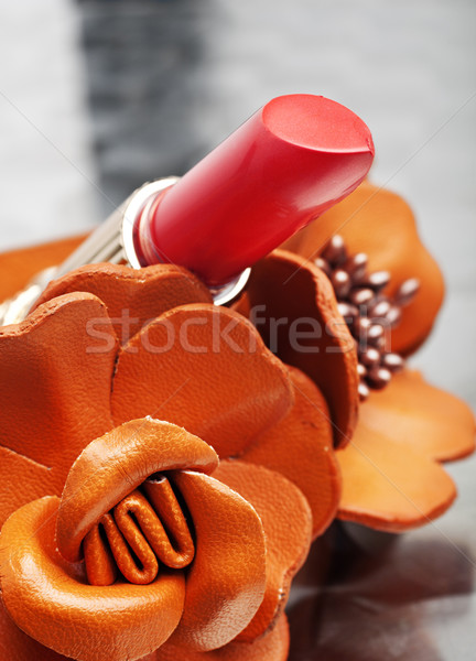 coral pink lipstick close-up Stock photo © lubavnel