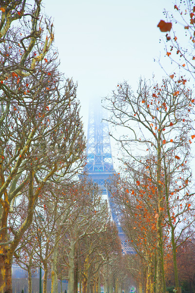 Turnul Eiffel iarnă top ascunzatoare nori vedere Imagine de stoc © lubavnel