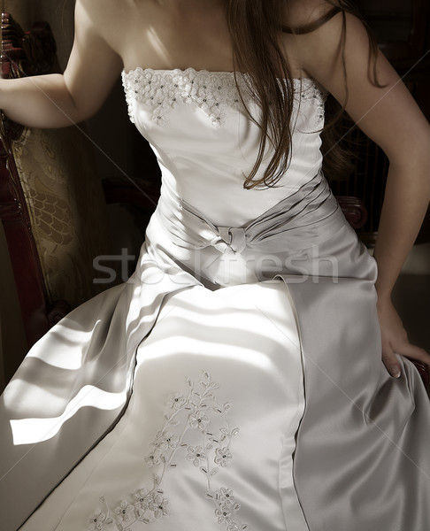 Beautiful bride in silver dress in natural light Stock photo © lubavnel