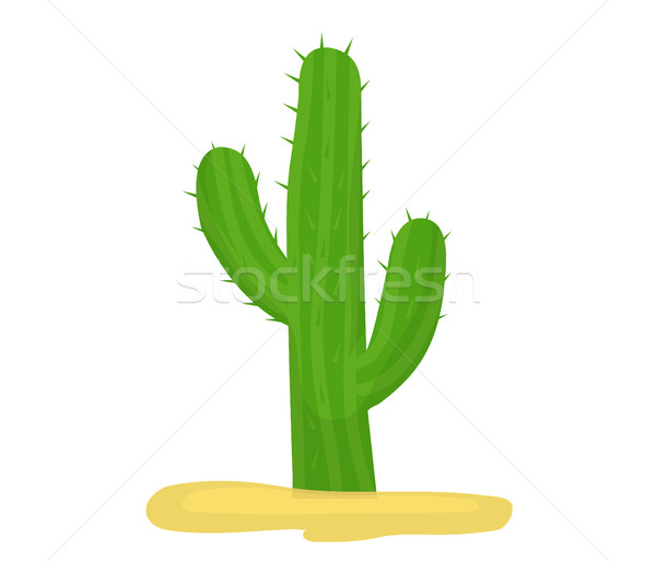 8150649_stock vector cactus icon flat cartoon style isolated on white background vector illustration clip art