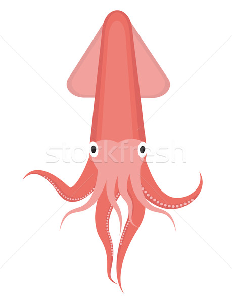 Squid icon logo element. Flat style, isolated on white background. Vector illustration, clip art. Stock photo © lucia_fox