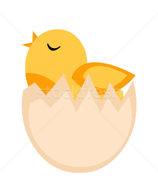 Nestling hatched from egg, yellow chicken icon, flat style. Isolated on white background. Vector ill Stock photo © lucia_fox