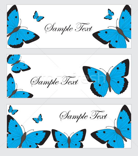 Set butterflies banner. Banner template with butterflies. Colored butterfly banner. Vector illustrat Stock photo © lucia_fox