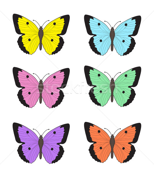Set of multicolored butterflies on a white background, a collection of butterflies. Vector illustrat Stock photo © lucia_fox