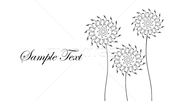 Stock photo: Card with abstract flowers, dandelions. Black and white business card. Vector illustration.