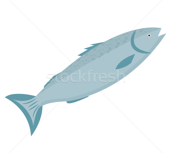 Photo stock: Truite · icône · style · poissons · isolé · blanche