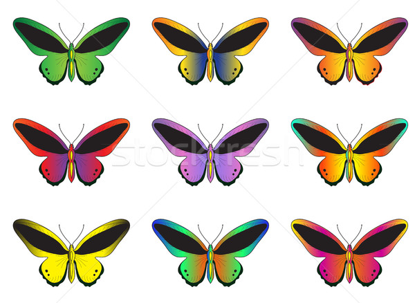 Foto d'archivio: Set · multicolore · farfalle · bianco · raccolta · vettore