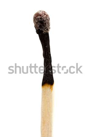 Burned match stick over white Stock photo © lucielang