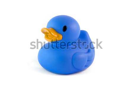 Single blue rubber duck Stock photo © lucielang