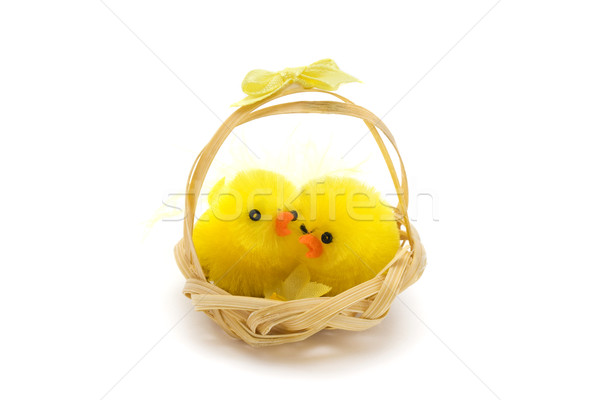 Foto stock: Dos · Pascua · pollitos · cesta · blanco · bebé