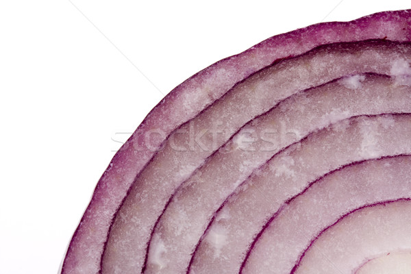 Macro section of sliced red onion Stock photo © lucielang