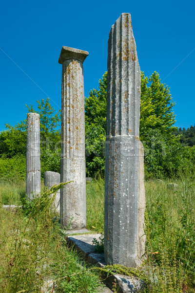 Ancient Greek pillars. Stock photo © lucielang