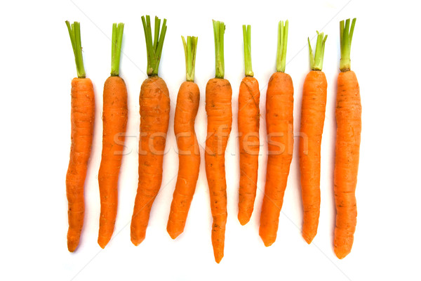 Line of organic carrots with green tops over white Stock photo © lucielang