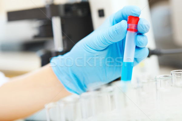 Scientist working with samples Stock photo © luckyraccoon