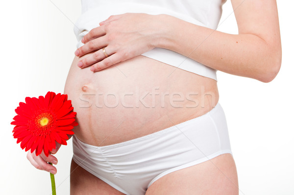 Közelkép terhes nő kéz a kézben pocak nő virág Stock fotó © luckyraccoon