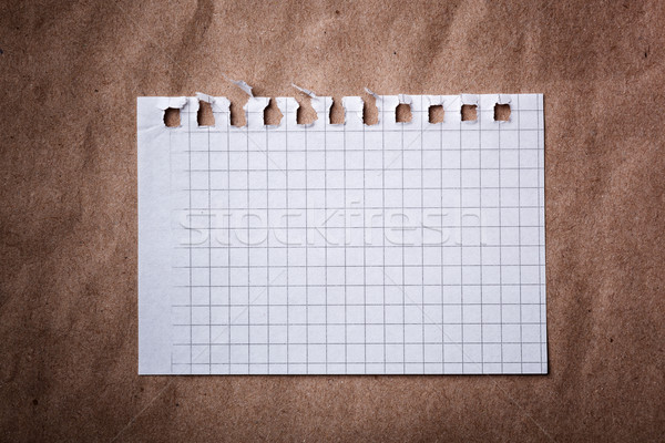 Ragged sheet of notebook  Stock photo © luckyraccoon