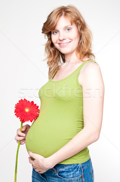 Fiatal terhes nő kéz a kézben pocak piros virág Stock fotó © luckyraccoon