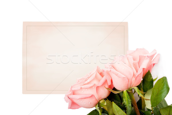 Stockfoto: Lege · kaart · gefeliciteerd · rozen · bloemen · papier · bruiloft