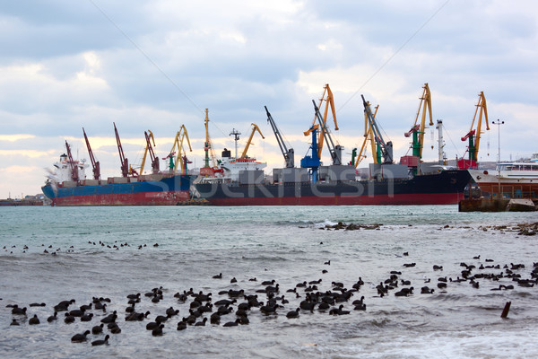 Reusachtig container vrachtschip water boot schip Stockfoto © luckyraccoon