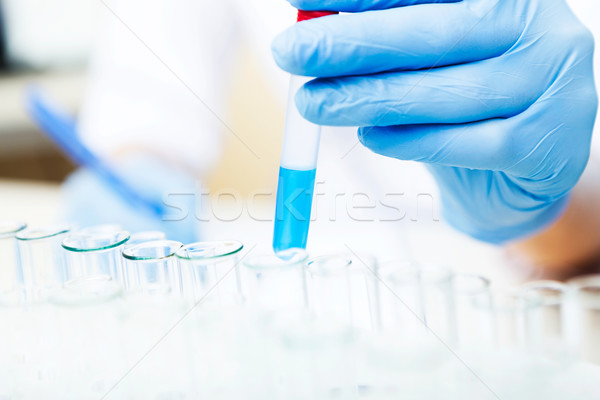 Scientist working with samples Stock photo © luckyraccoon