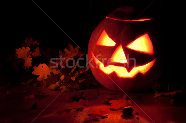 halloween pumpkin Stock photo © luckyraccoon