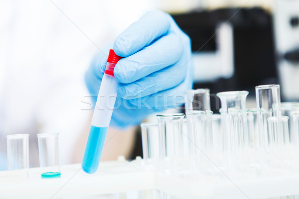 Stock photo: Scientist working with samples
