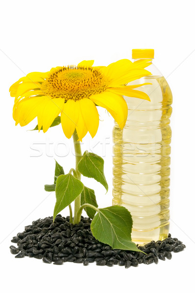 Aceite de girasol girasol blanco sol fondo hojas Foto stock © luiscar