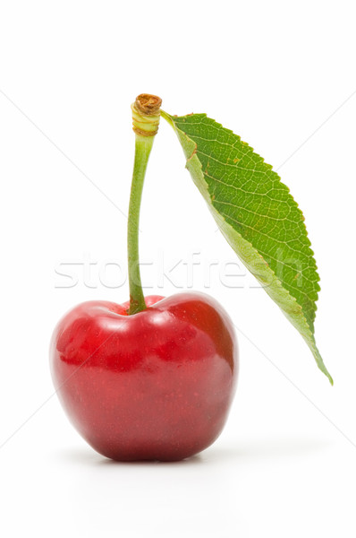 ökologische Kirschen weiß frisch Hintergrund rot Stock foto © luiscar