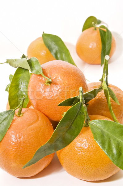 Taze portakal seçilmiş beyaz doğa meyve Stok fotoğraf © luiscar