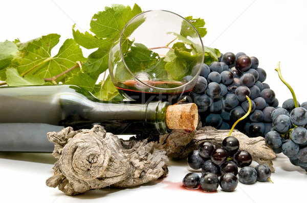 Natureza morta vinho vinho tinto uvas branco Foto stock © luiscar