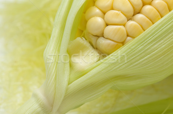 Foto stock: Macro · maíz · planta · blanco