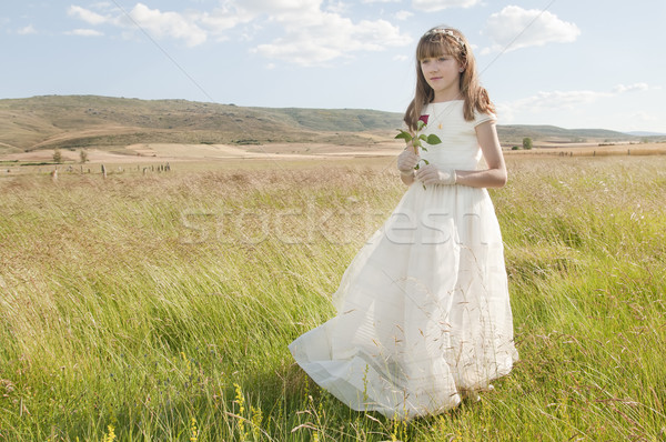 Komunii dziewczyna sukienka dziedzinie strony model Zdjęcia stock © luiscar