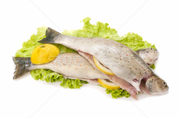 Forellen traditionellen Stil weiß Essen Stock foto © luiscar