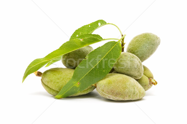 green almonds Stock photo © luiscar