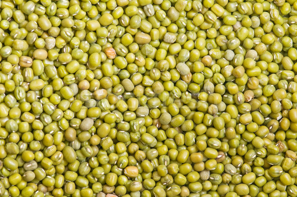 newly harvested soybeans Stock photo © luiscar