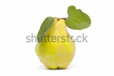 fresh quince Stock photo © luiscar