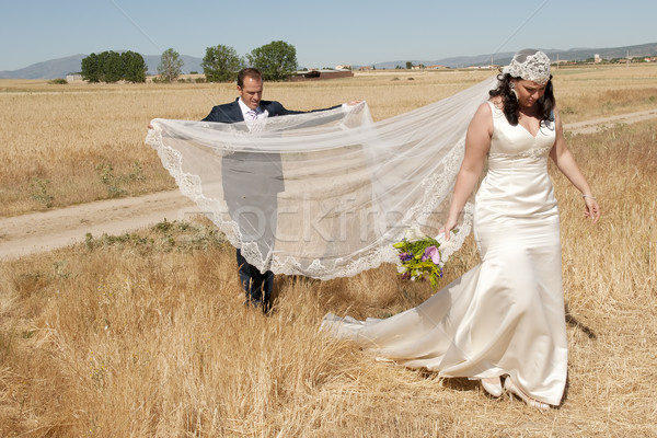 wedding couple in the field Stock photo © luiscar