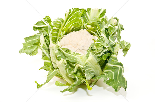 Blumenkohl ökologische frisch weiß Gemüse Landwirtschaft Stock foto © luiscar