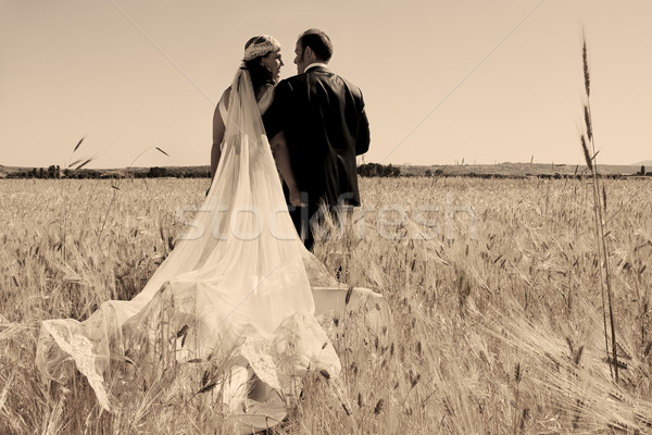 wedding couple in the field Stock photo © luiscar
