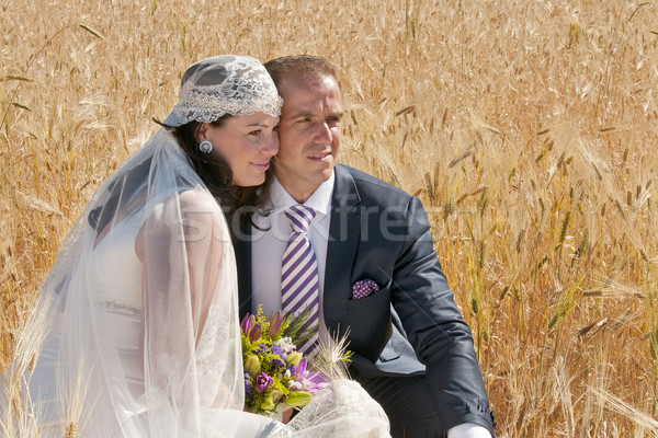 wedding couple in the field Stock photo © luiscar