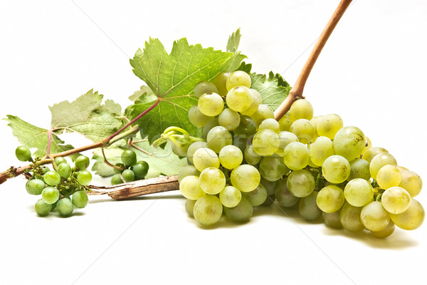 Bor szőlő frissen fehér étel háttér Stock fotó © luiscar