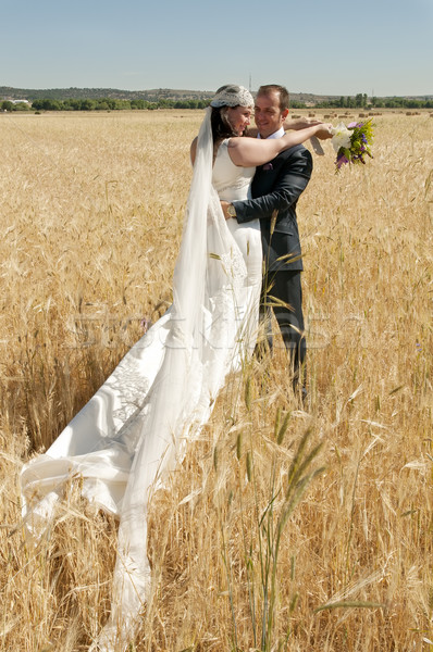 wedding couple in the field Stock photo © luiscar