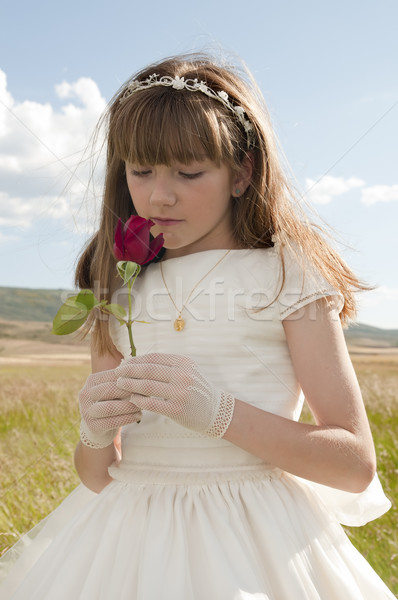 Komunii dziewczyna sukienka dziedzinie strony świetle Zdjęcia stock © luiscar