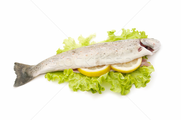 Wild forel traditioneel stijl witte voedsel Stockfoto © luiscar