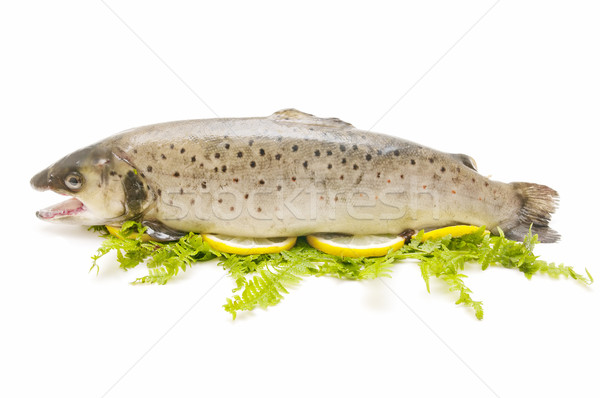 Stockfoto: Wild · forel · traditioneel · stijl · witte · voedsel