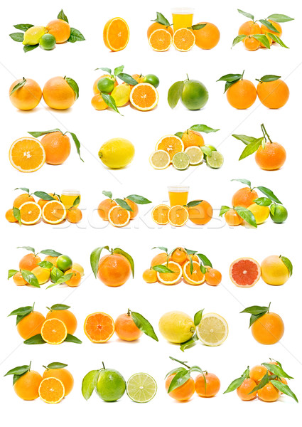 Friss citrus gyűjtemény izolált fehér fa Stock fotó © luiscar