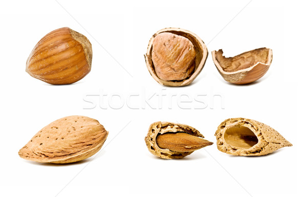 hazelnuts and almonds Stock photo © luiscar