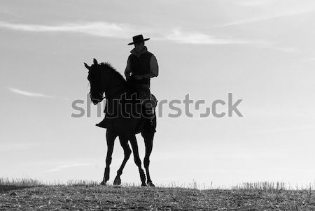 rider and his horse Stock photo © luiscar
